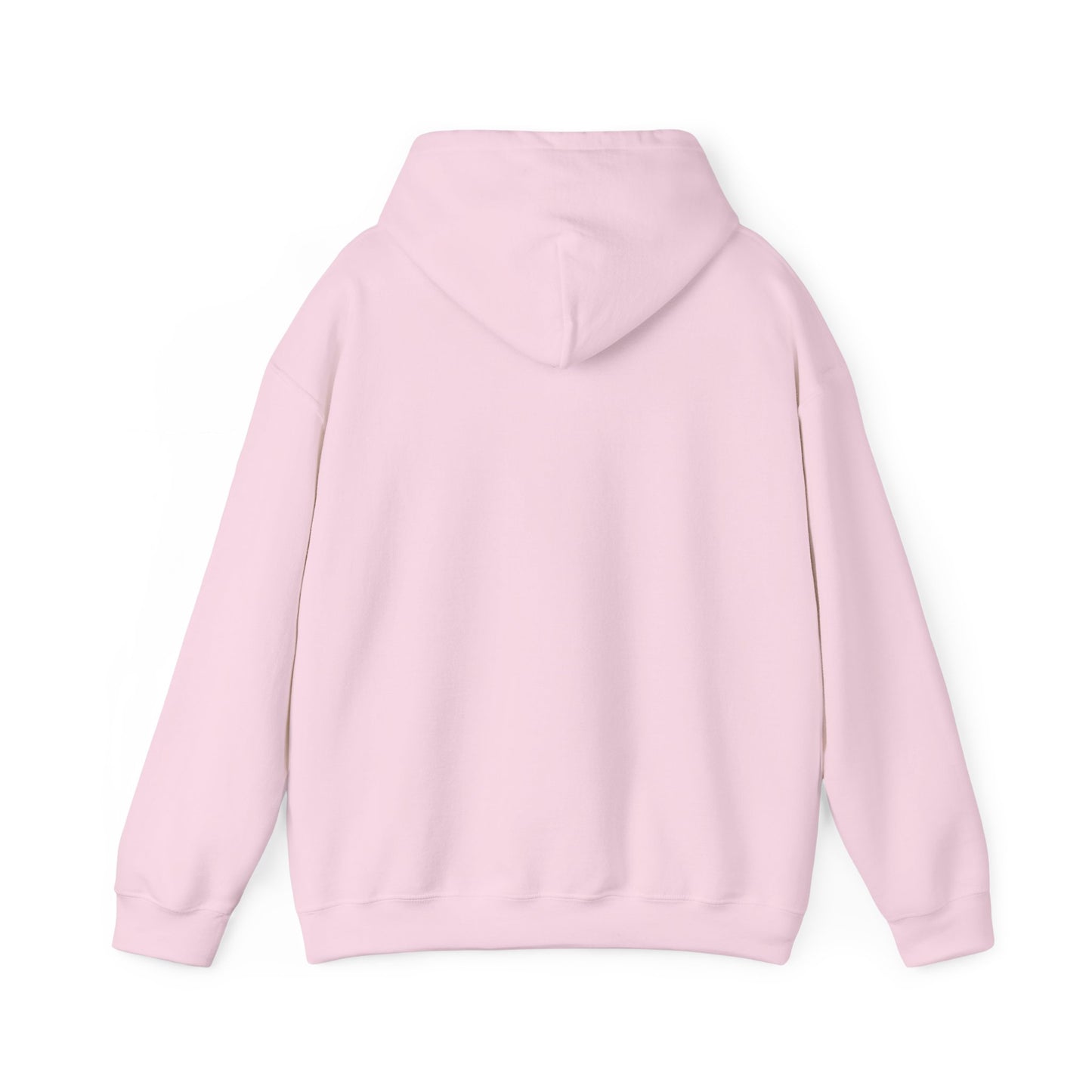 Soft Life Hustle Hard Hoodie